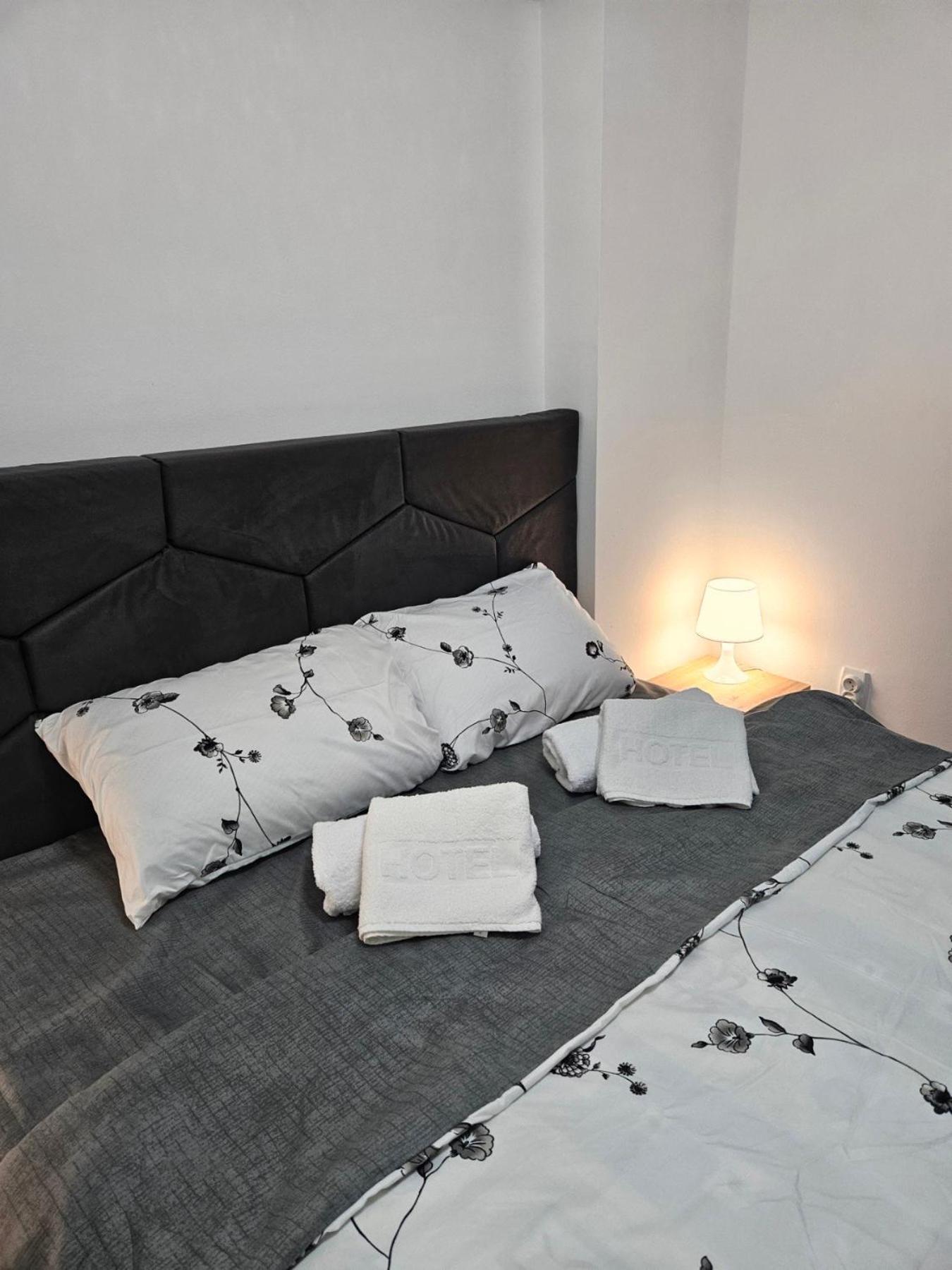 Only 4 Apartment Nis